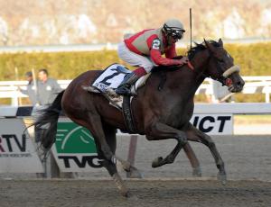 aqueduct-horse-racing